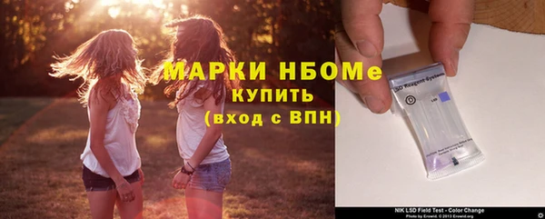 шишки Белоозёрский